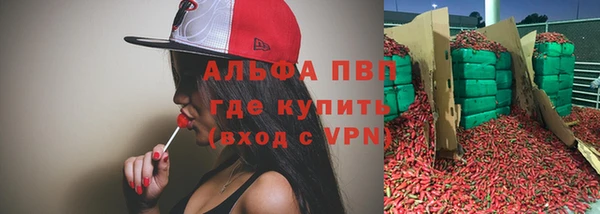 молекула духа Костерёво