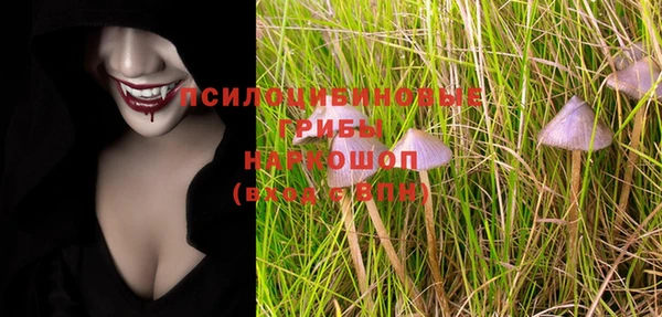 СК Кодинск