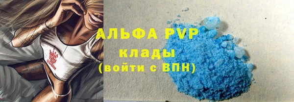 молекула духа Костерёво
