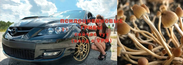 синтетический гашиш Козельск