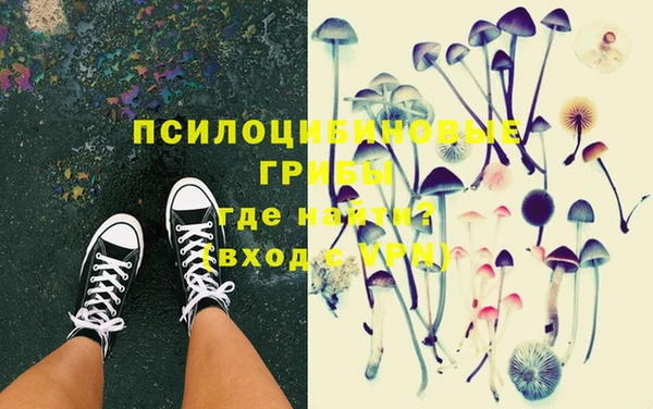 2c-b Козловка